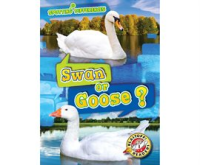 Swan_or_Goose_